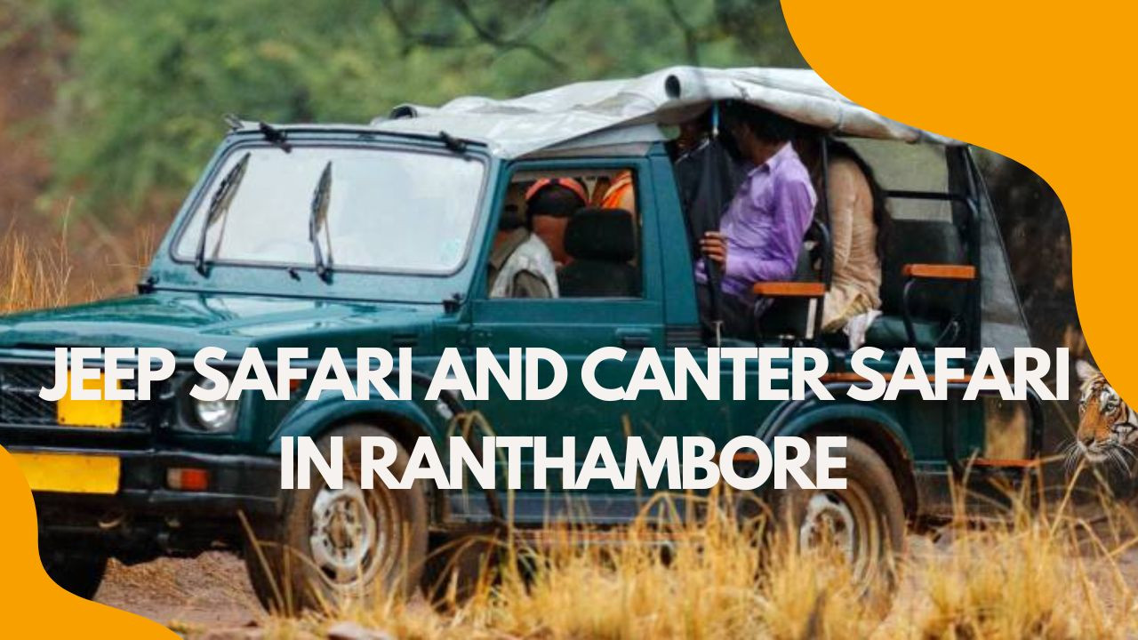 Jeep Safari and Canter Safari in Ranthambore