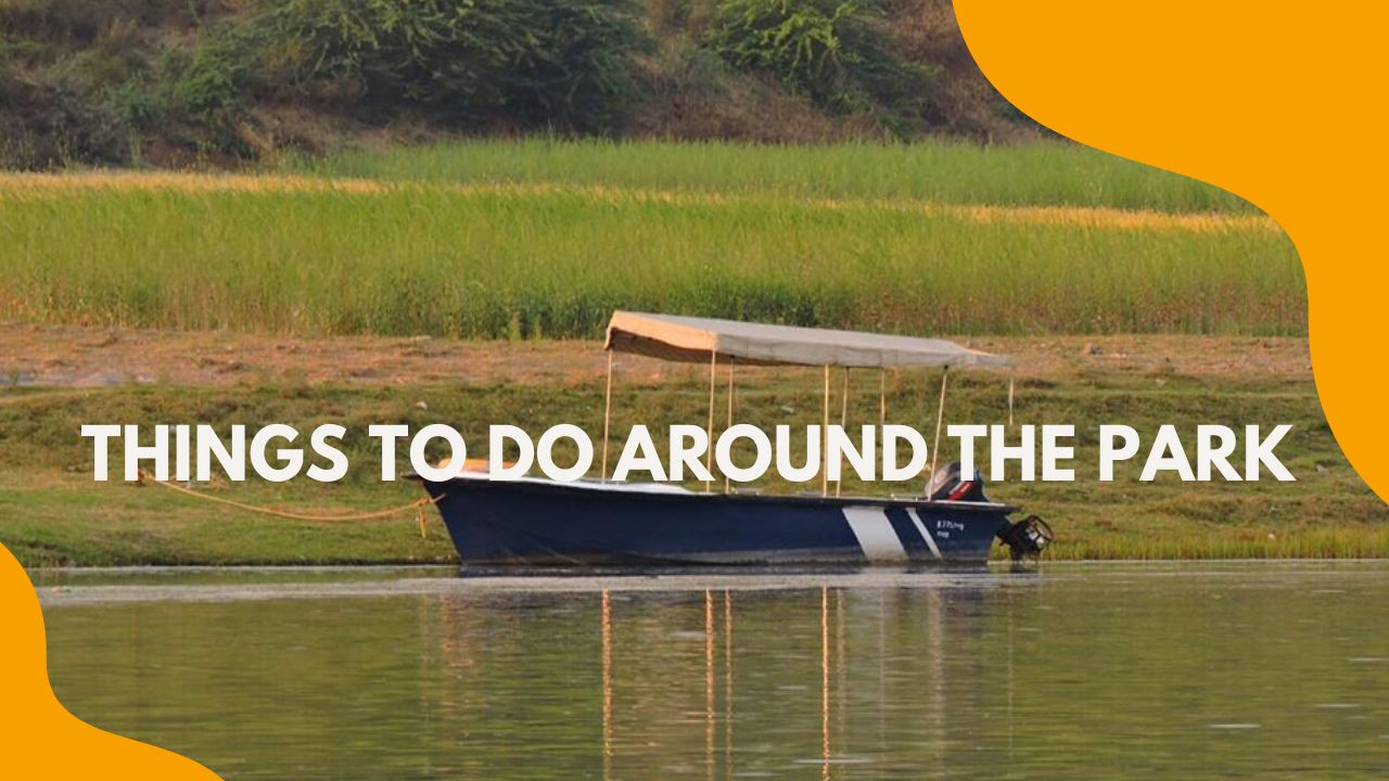 Things to do around the Park