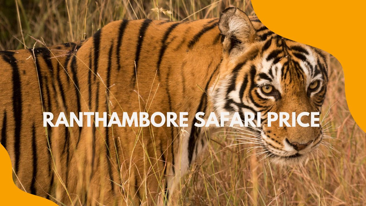 Ranthambore Safari Price
