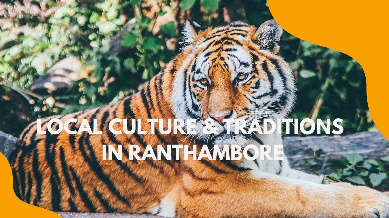 Local Culture & Traditions in Ranthambore